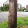 Stump of a utility pole