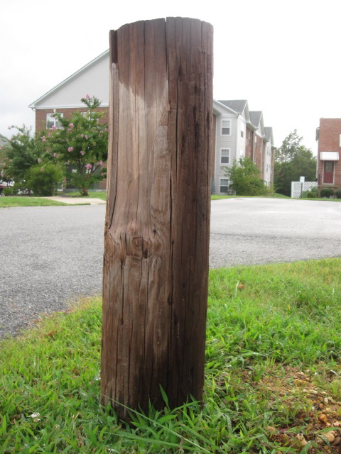 Stump of a utility pole