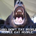 Bears don't eat people. People eat people.